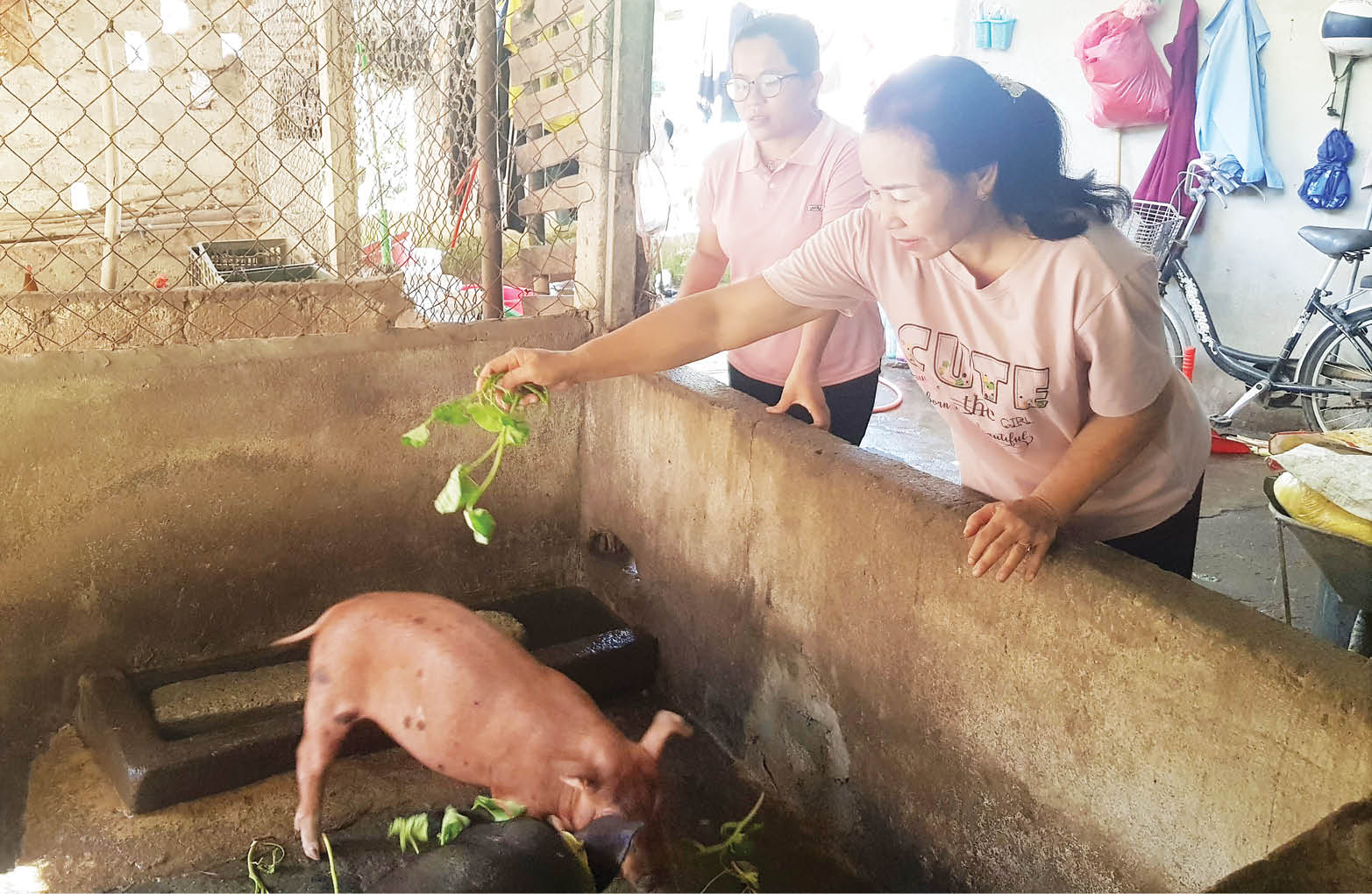 Sinh kế cho nữ nông dân nghèo