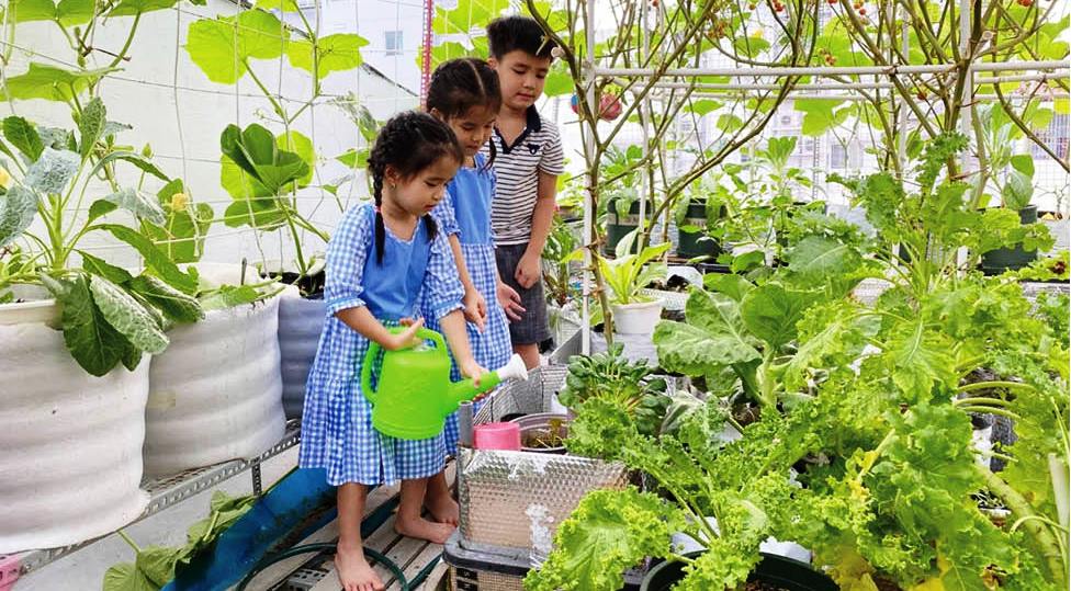 Nhà phố có vườn rau