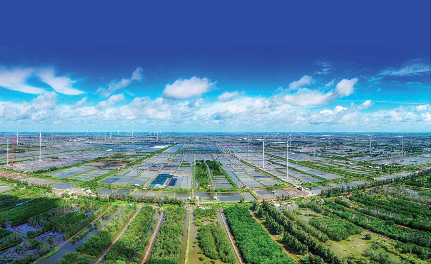 UNCTAD Cần chiến lược bền vững để giảm thiểu tác động môi trường của nền kinh tế kỹ thuật số