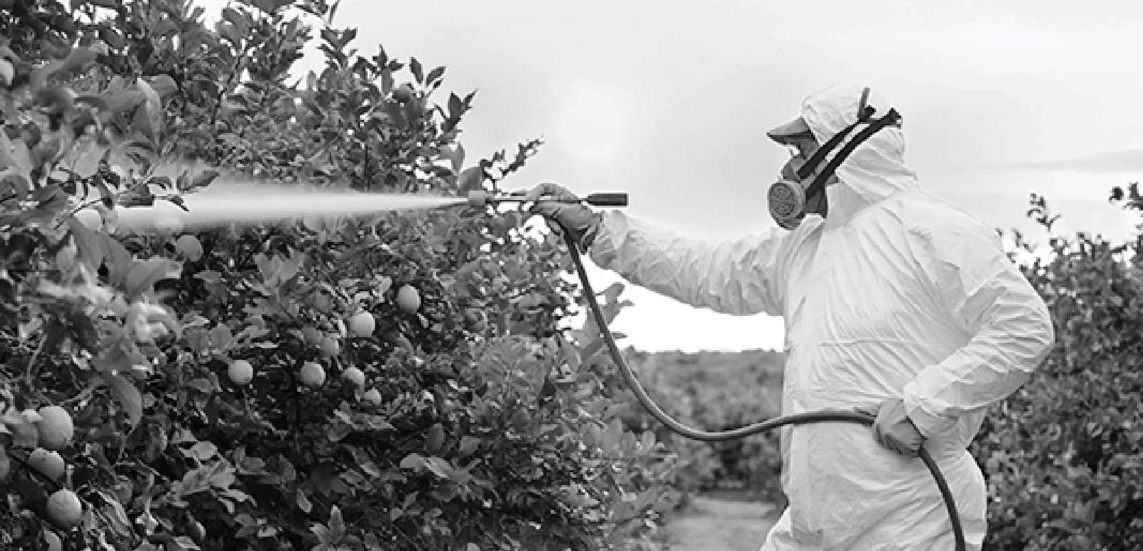 Mối đe dọa đáng lo ngại khi thuốc trừ sâu ngày càng chứa nhiều “hóa chất vĩnh cửu”