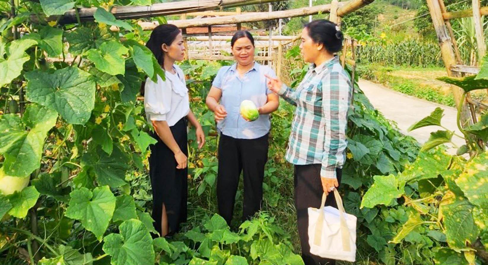 A Lưới thoát nghèo