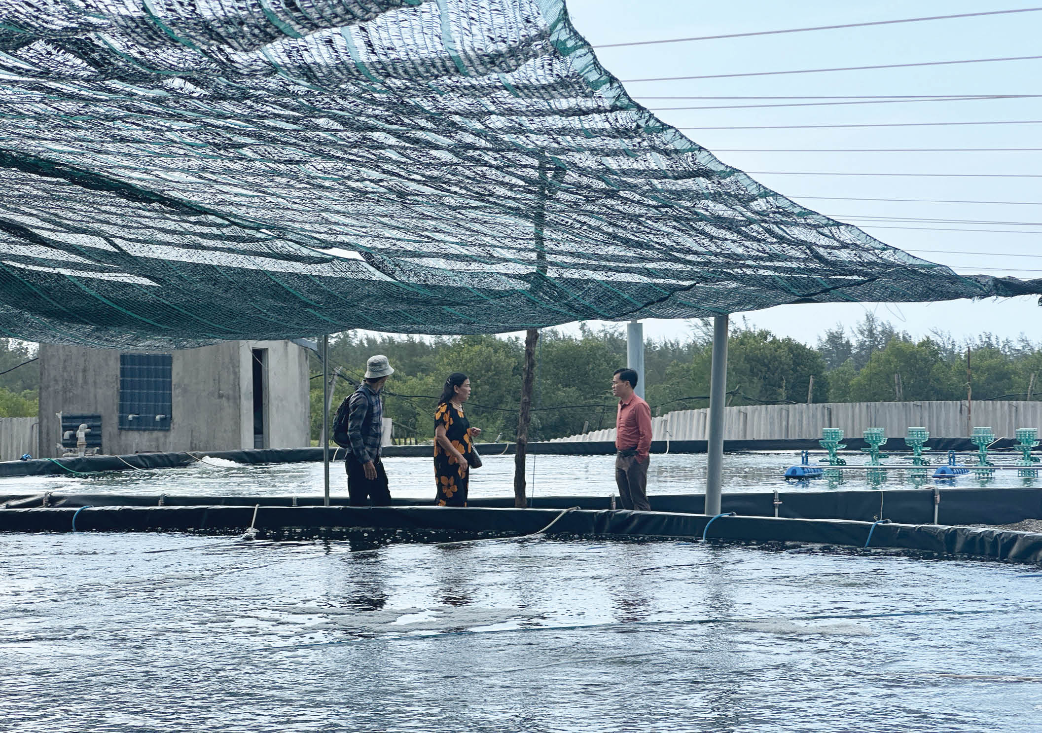 Ứng phó với môi trường bất lợi cho thủy sản nuôi