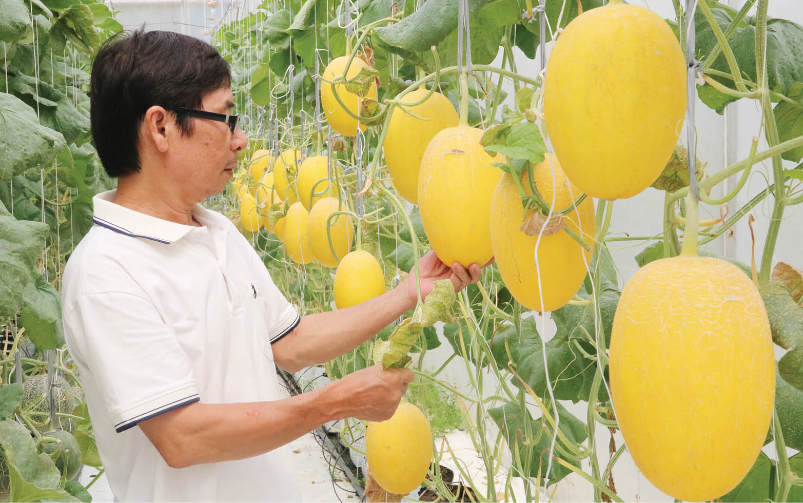 Nặng lòng với mảnh đất quê hương