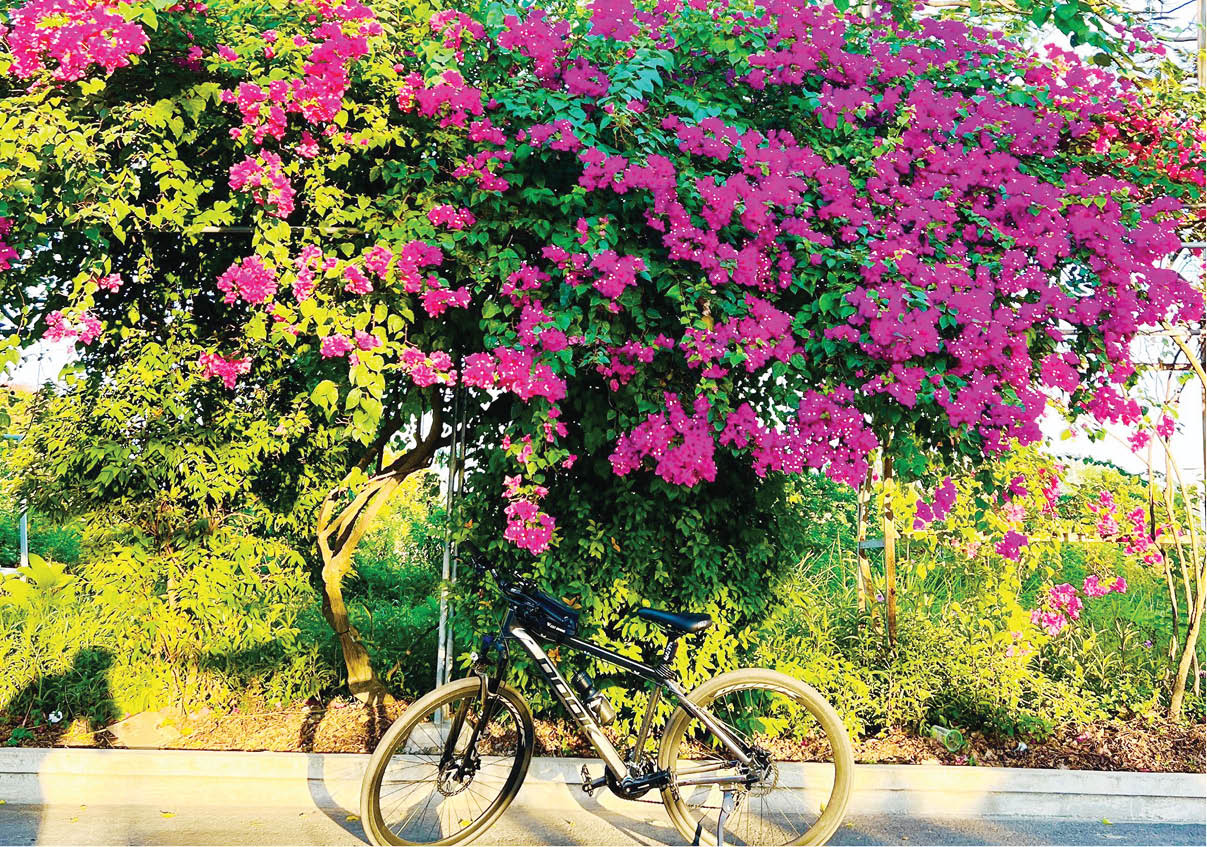 Thương nhớ một loài hoa