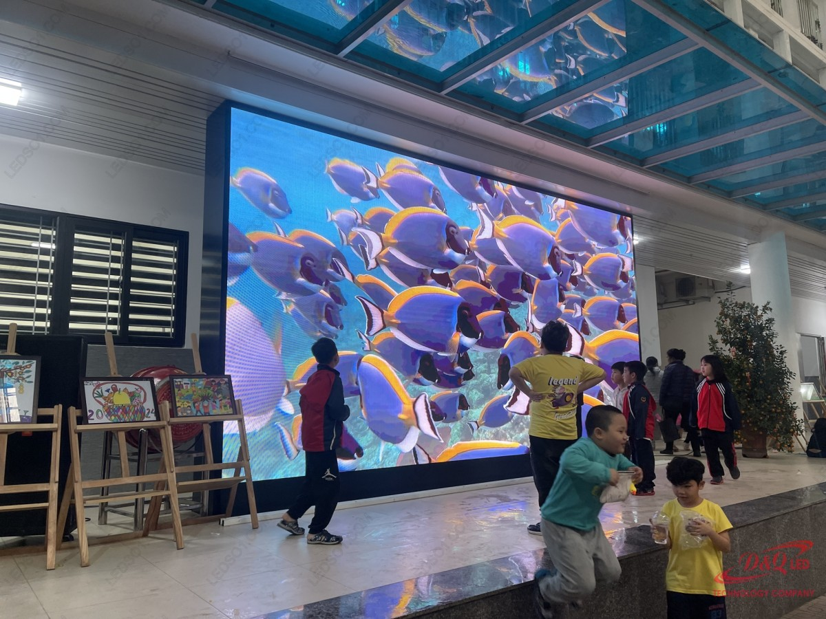 Có nên mua màn hình LED tại LED D Q hay không