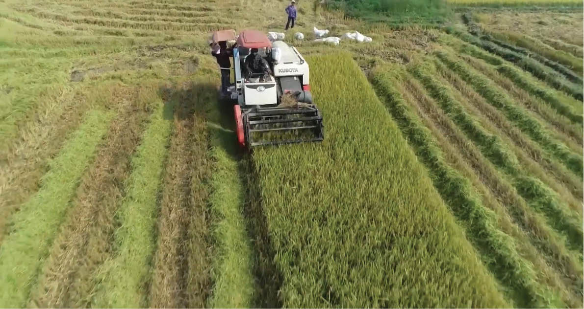 Thêm nhiều vùng quê xanh đẹp