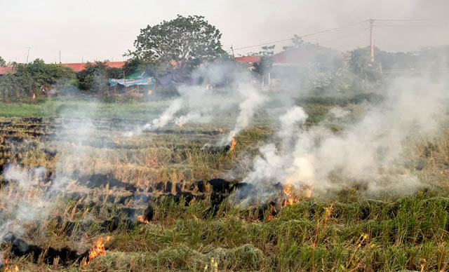 Triển khai ứng dụng Hue-S để ngăn chặn đốt rơm, rạ