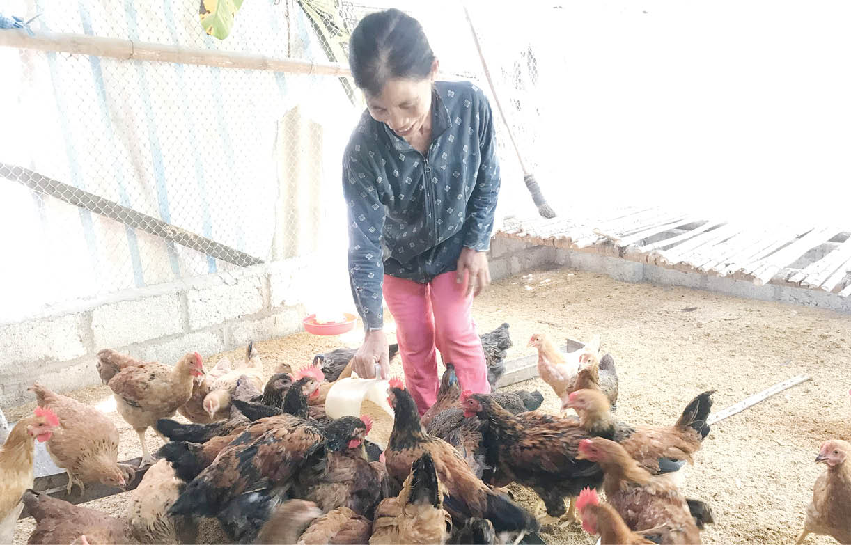 Hương Vân giảm nghèo