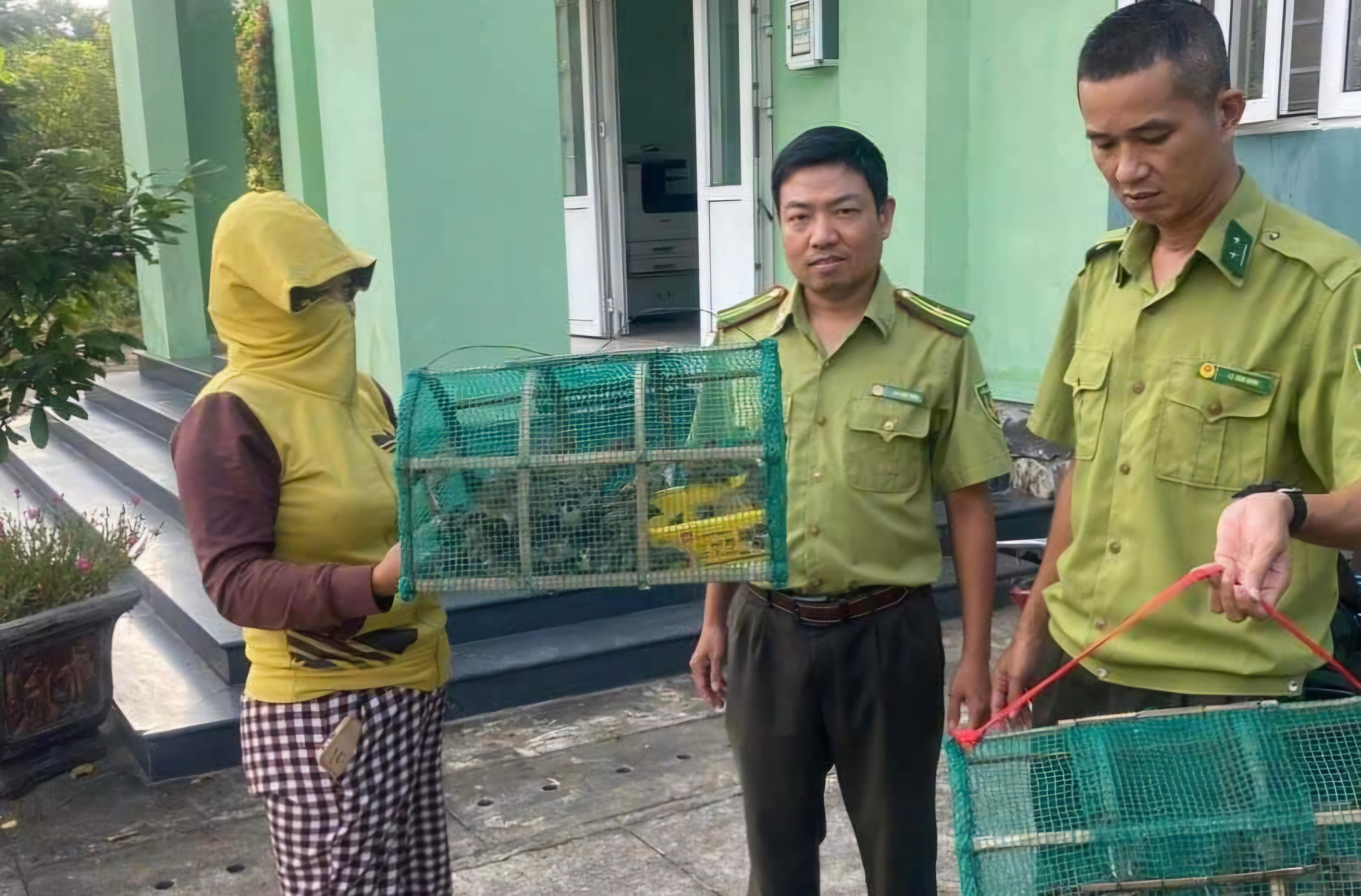 Phát hiện 65 cá thể chim trời được bán trong dịp lễ Vu Lan