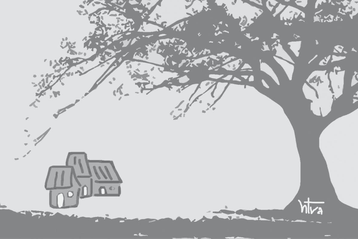 Về làng gặp ngọn gió nam