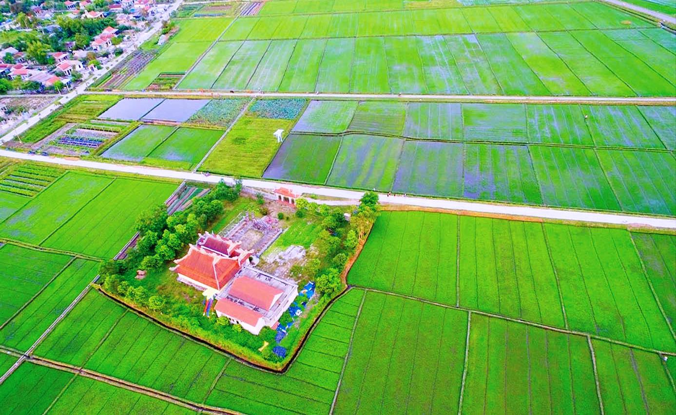 Hạn chế đơn khiếu kiện là thước đo sự hiệu quả