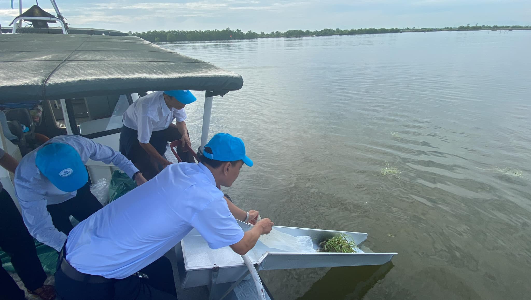 Nâng trữ lượng thuỷ sản vùng biển được phục hồi tăng 5