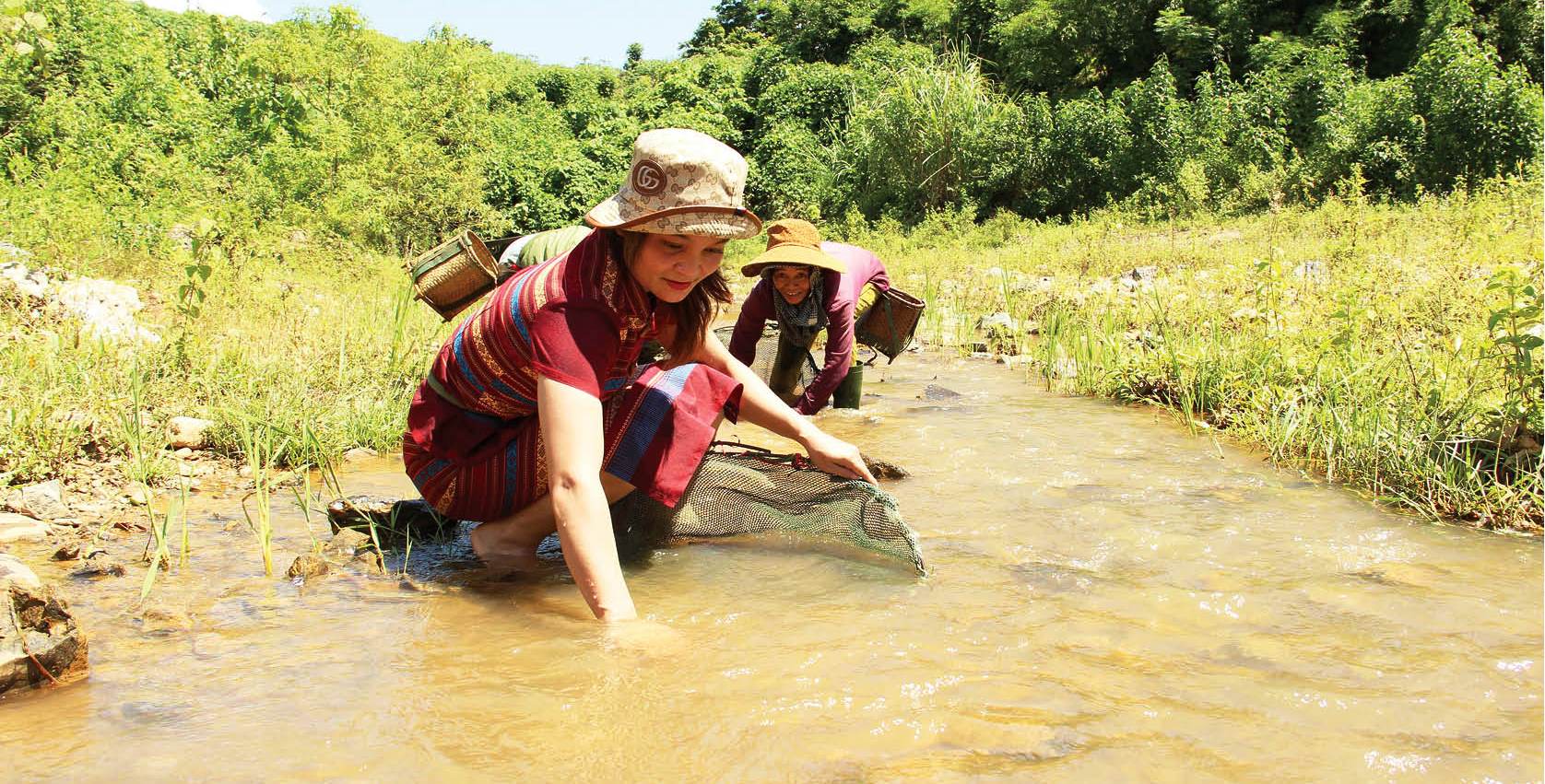 “Săn” cá bống suối