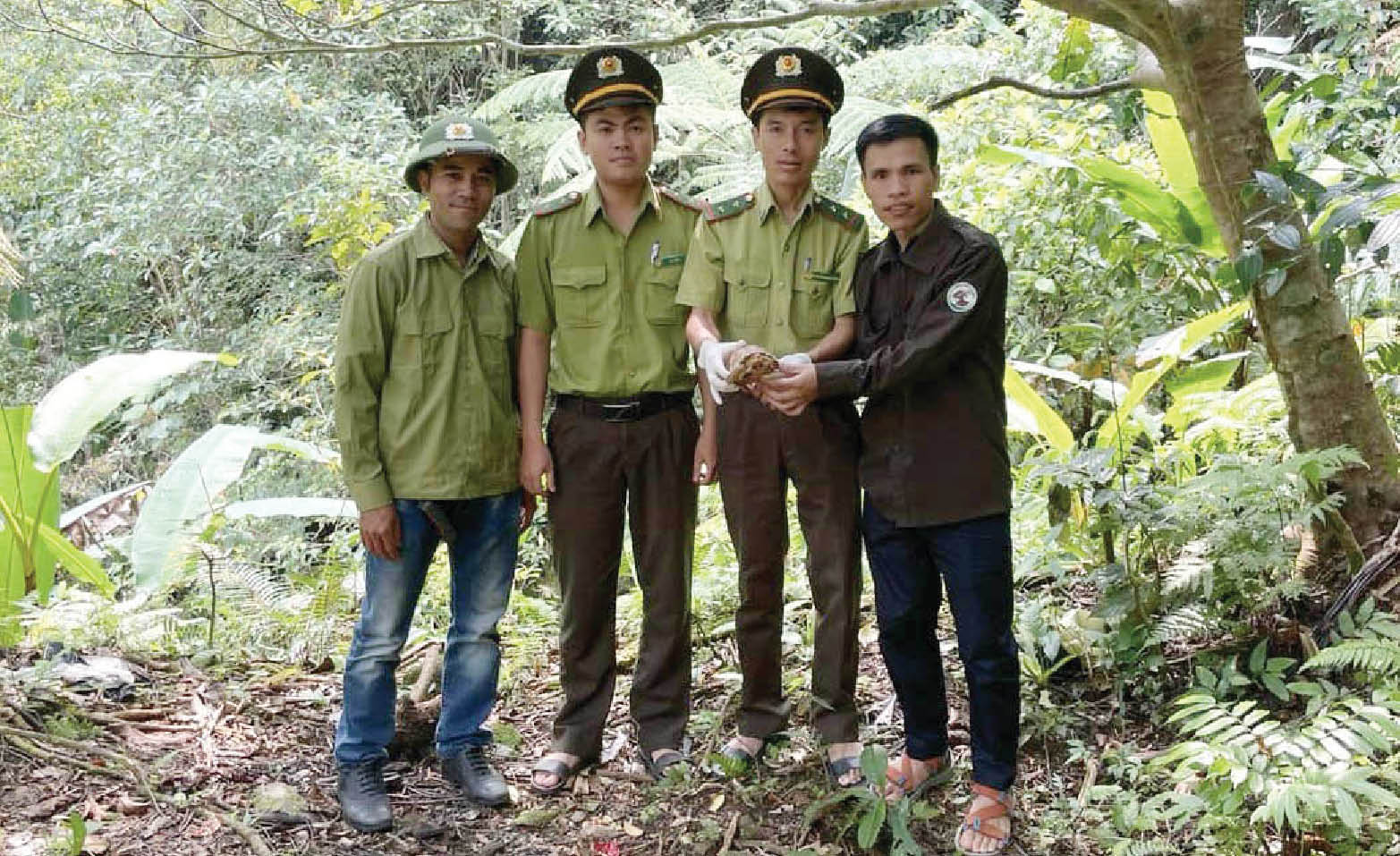 Nói không với tiêu dùng sản phẩm từ động vật hoang dã trong du lịch