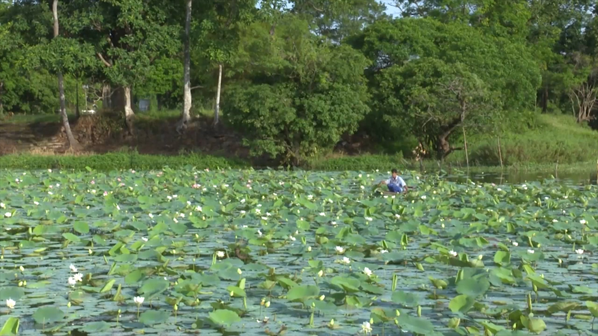 Bản tin Kinh tế - Thị trường ngày 24/8