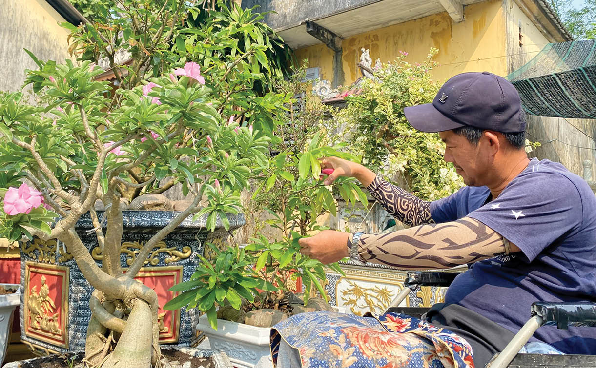 Khu vườn xanh của anh Phú