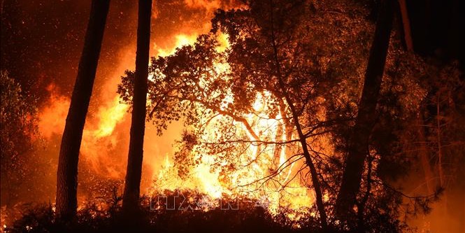 Cháy rừng đẩy Canada vào top 4 quốc gia phát thải CO2 nhiều nhất thế giới năm 2023