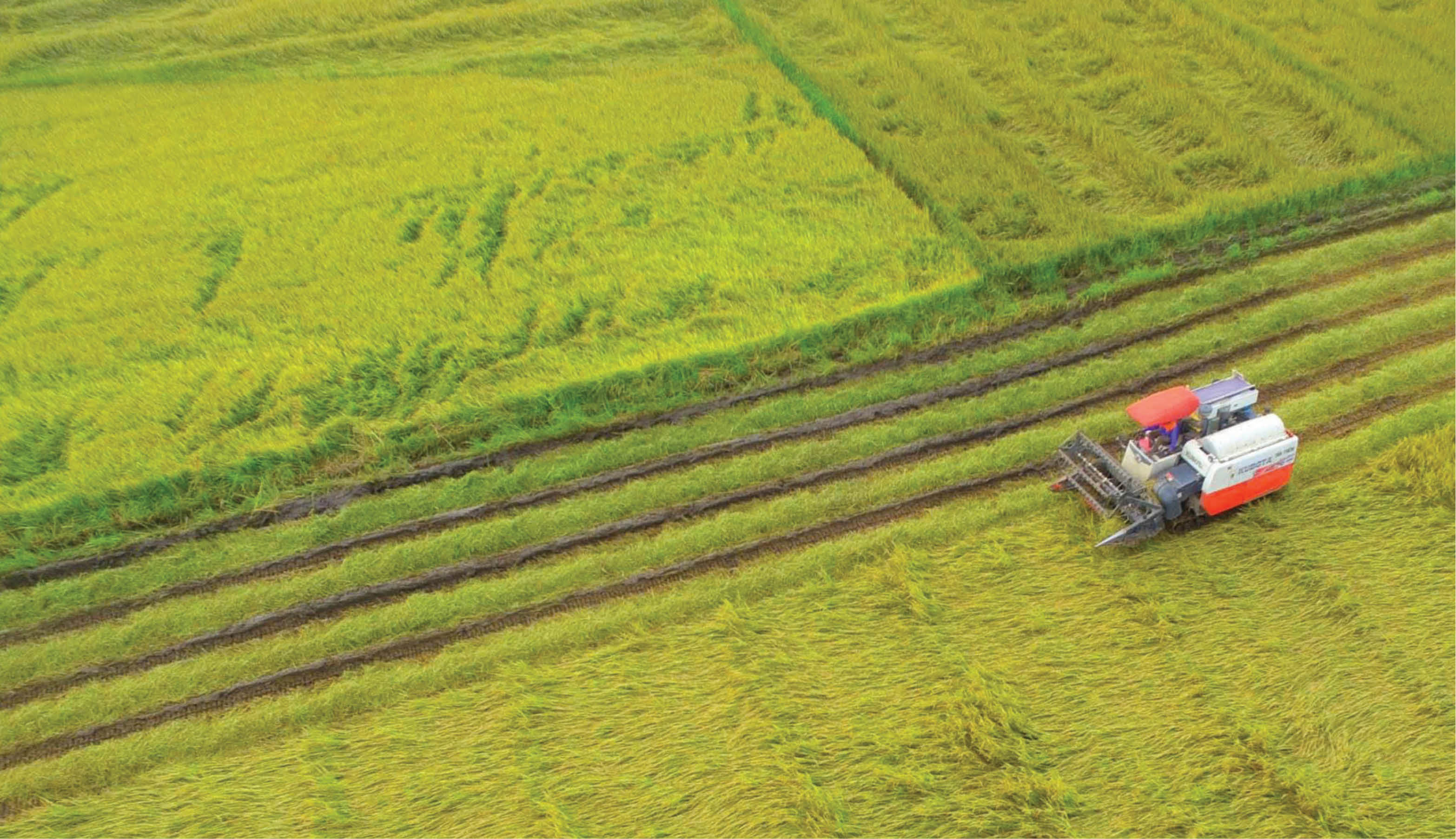 Tên gọi cũ, tương lai mới