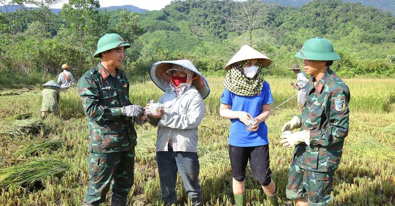 Xuống đồng giúp dân thu hoạch lúa