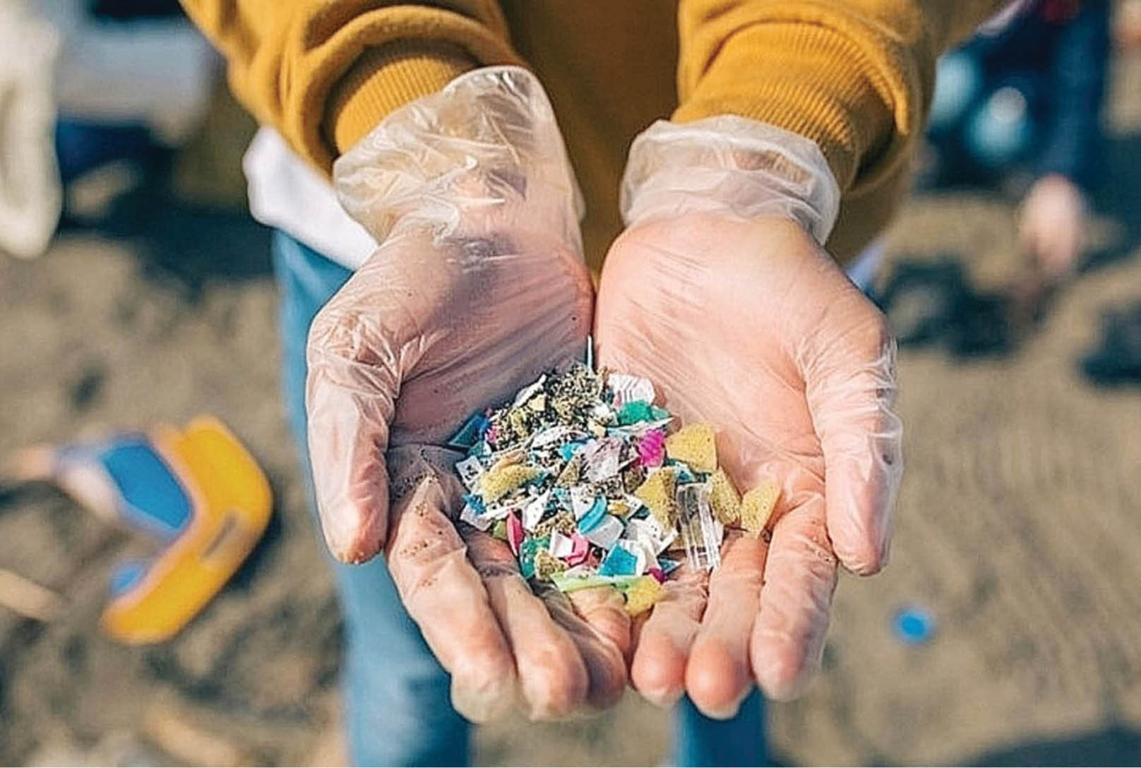 Nhựa đang xâm nhập vào não người Cần báo động toàn cầu