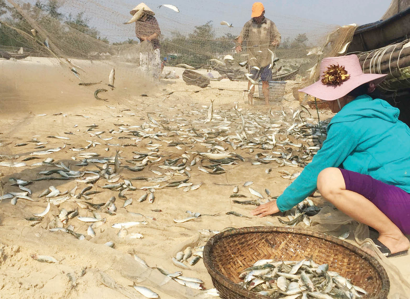 Ngày mới ở Ngũ Điền