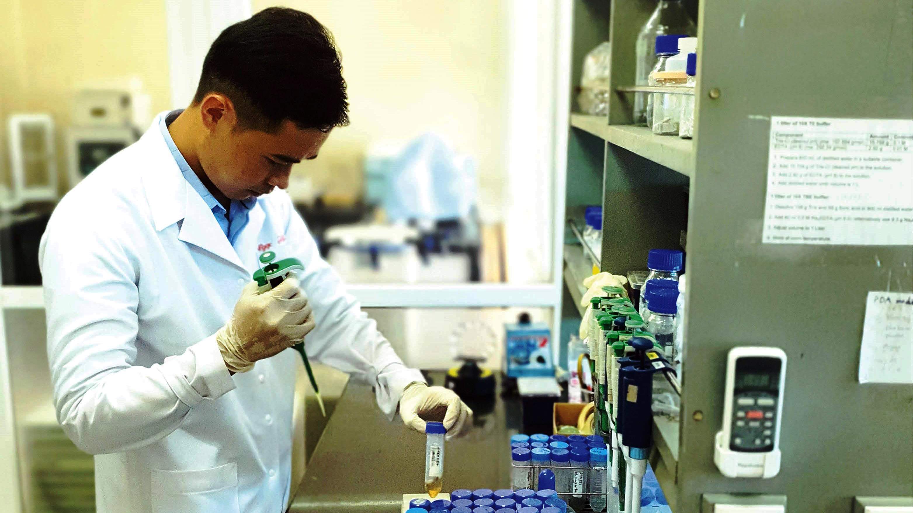 Trở về để phụng sự quê hương