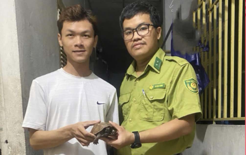 Tiếp nhận một cá thể rùa sa nhân hoang dã