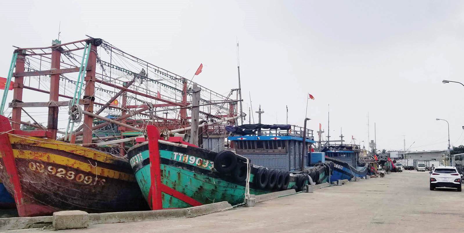 Bảo vệ tàu, thuyền mùa bão, lũ