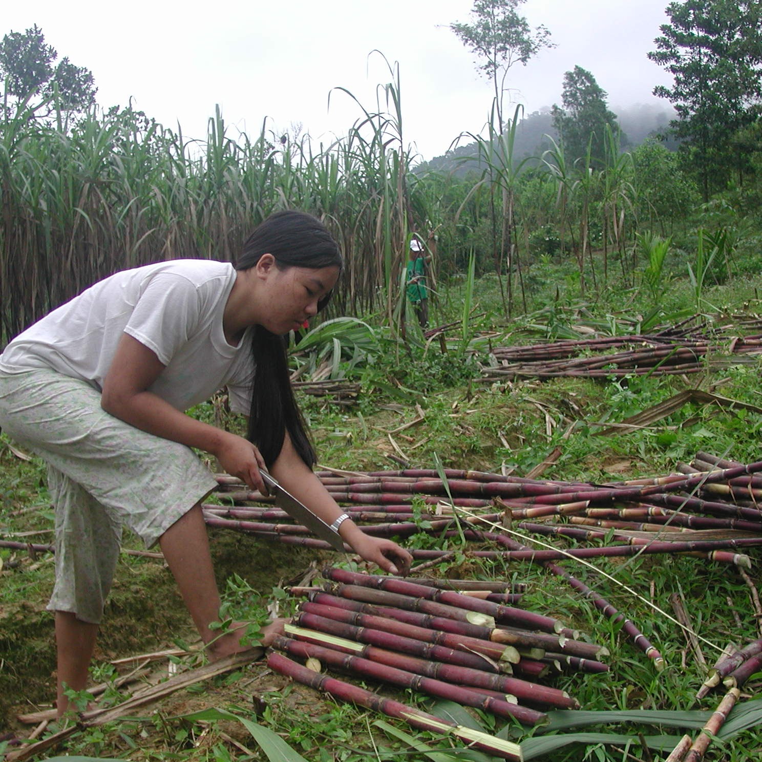 Tử địa Mỏ Tàu - Kỳ 3 Mỏ Tàu xứng đáng là di tích lịch sử cách mạng