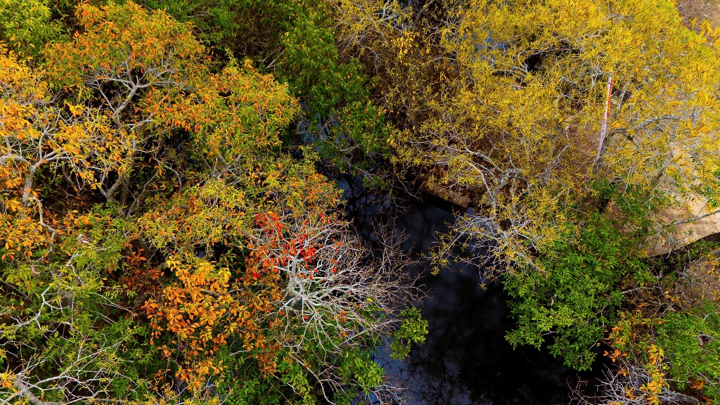 Bản tin Văn hóa du lịch ngày 26 9