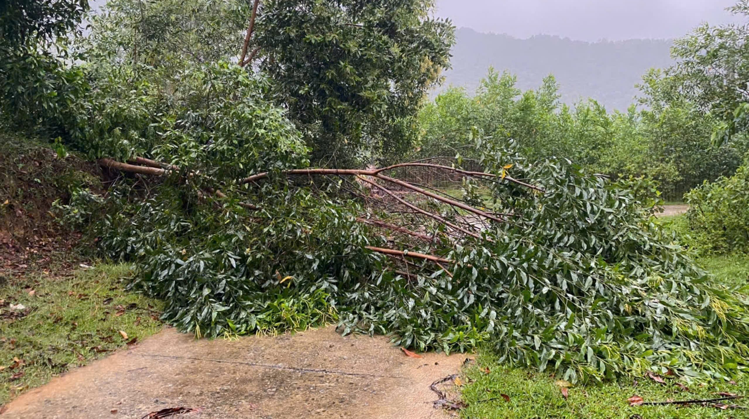 Cảnh báo mưa lớn gây ngập úng, trượt lở đất