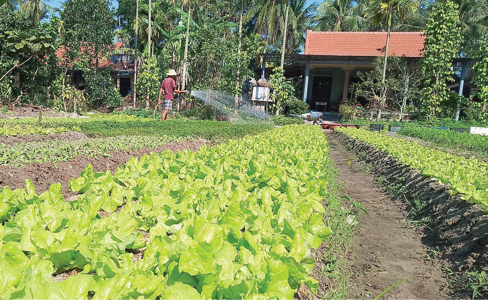 Lan tỏa “Dòng họ không có hộ nghèo”