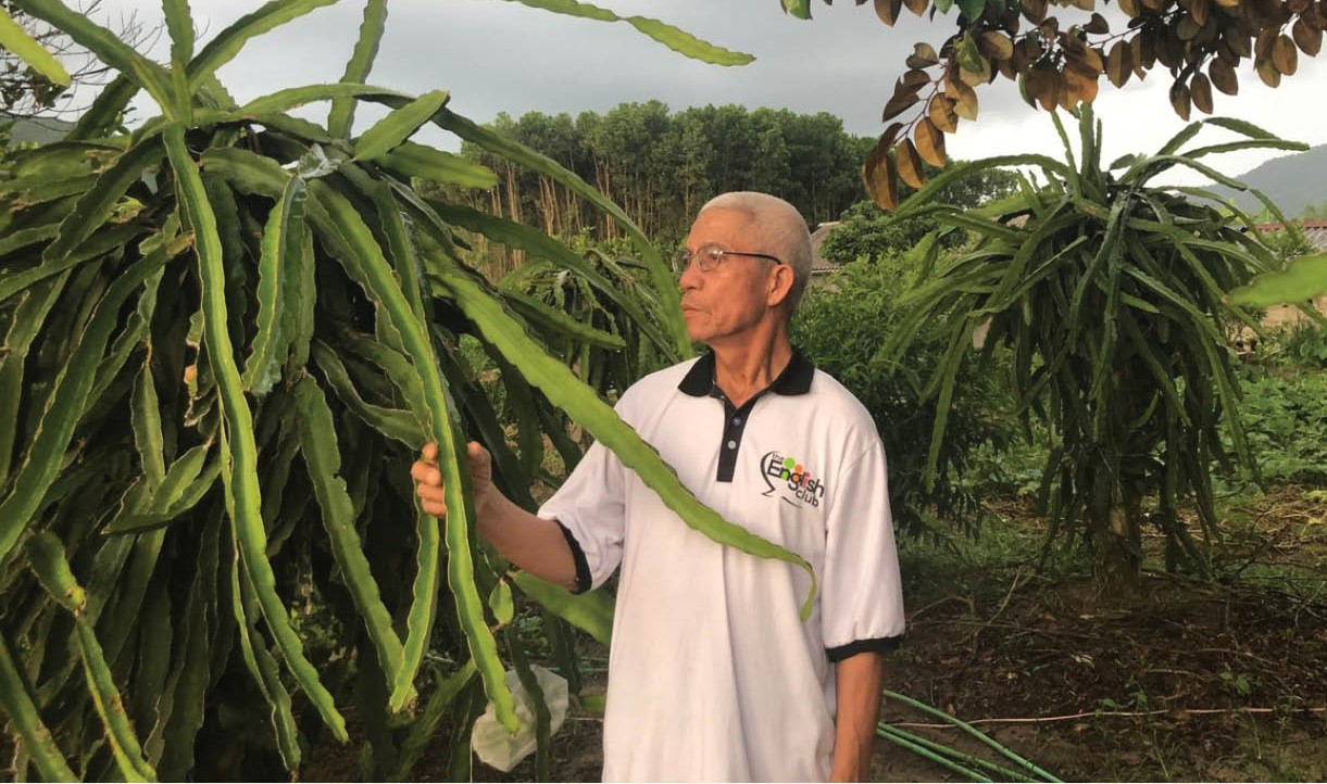 Có sức người sỏi đá cũng thành cơm