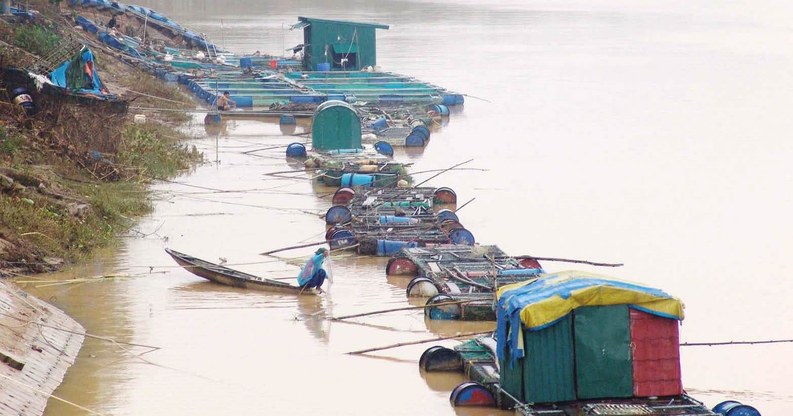 Bảo vệ ao hồ, lồng bè nuôi thủy sản mùa bão, lũ