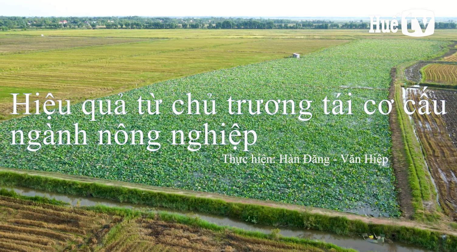 Hiệu quả từ chủ trương tái cơ cấu ngành nông nghiệp