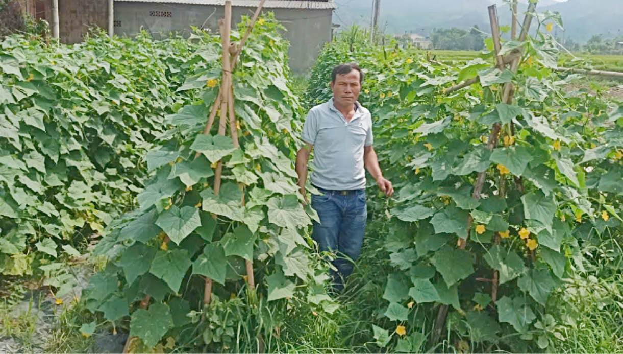 Nêu gương trong phát triển kinh tế