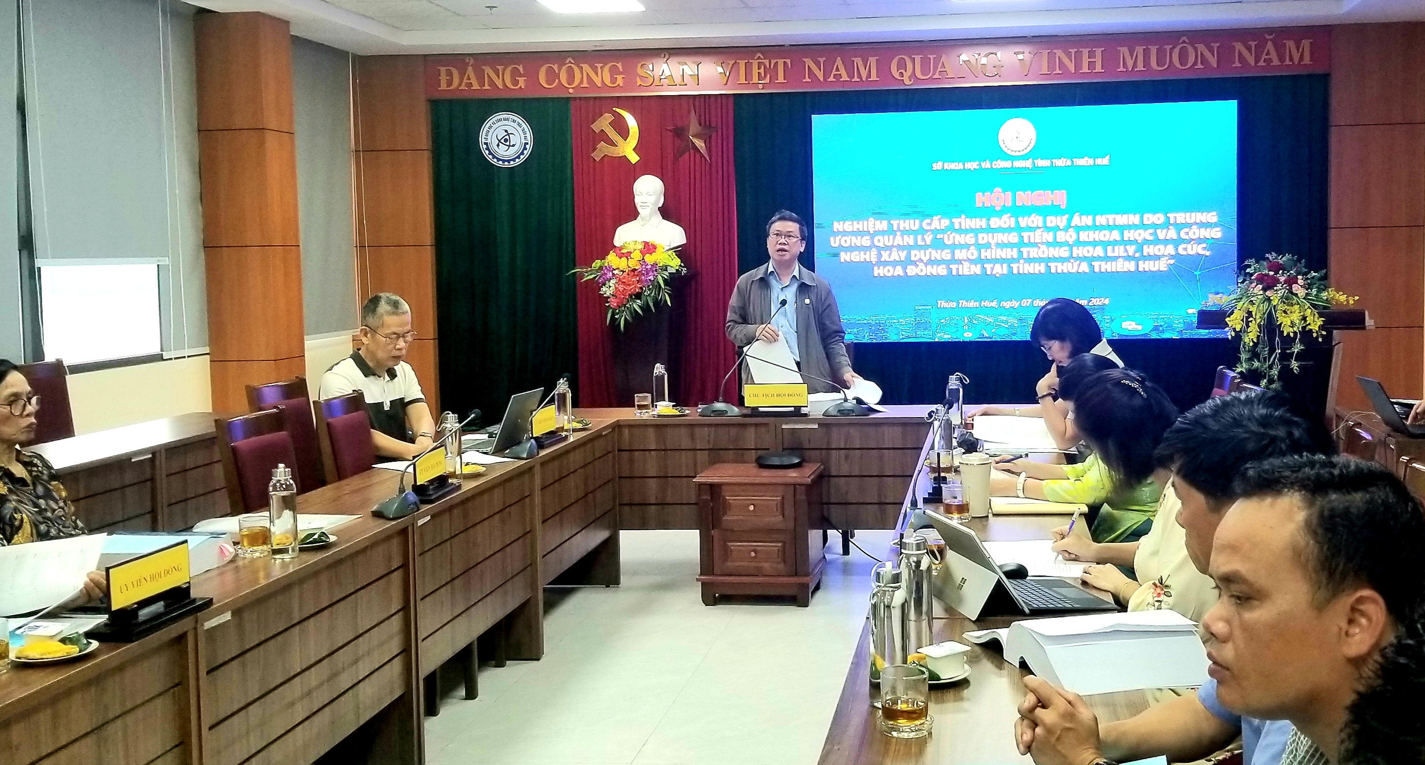 Trồng hoa lily, hoa cúc, hoa đồng tiền từ ứng dụng công nghệ cao