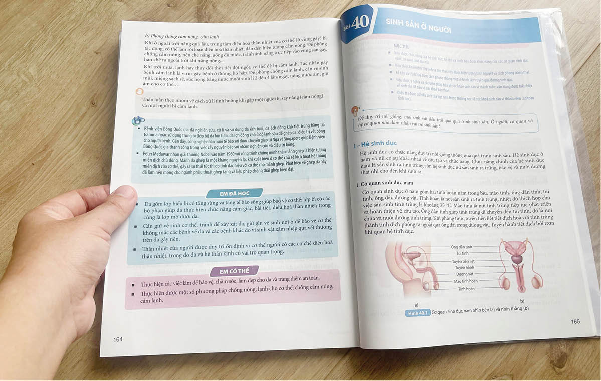 Làm mẹ ở tuổi xanh non