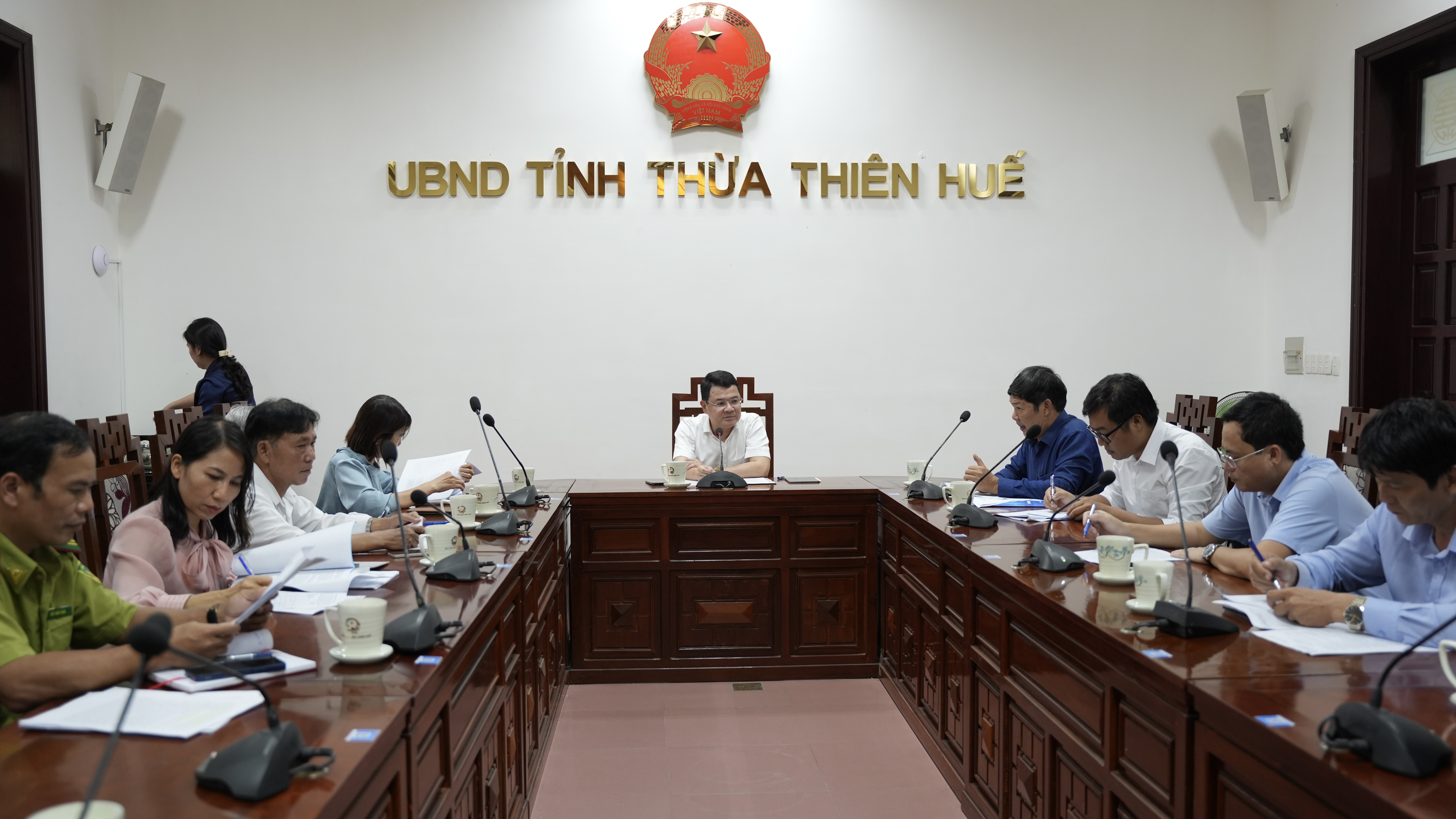 Nâng cao hiệu quả sản xuất lúa và giống cây lâm nghiệp trên địa bàn huyện A Lưới