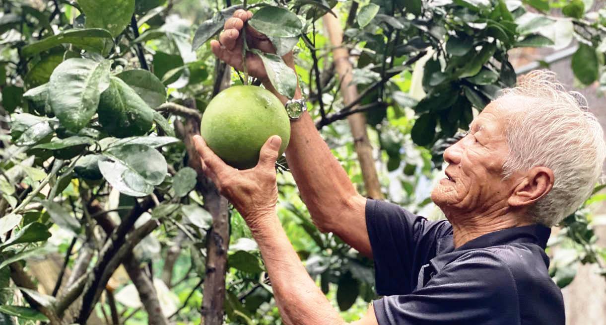 Lao động là niềm vui