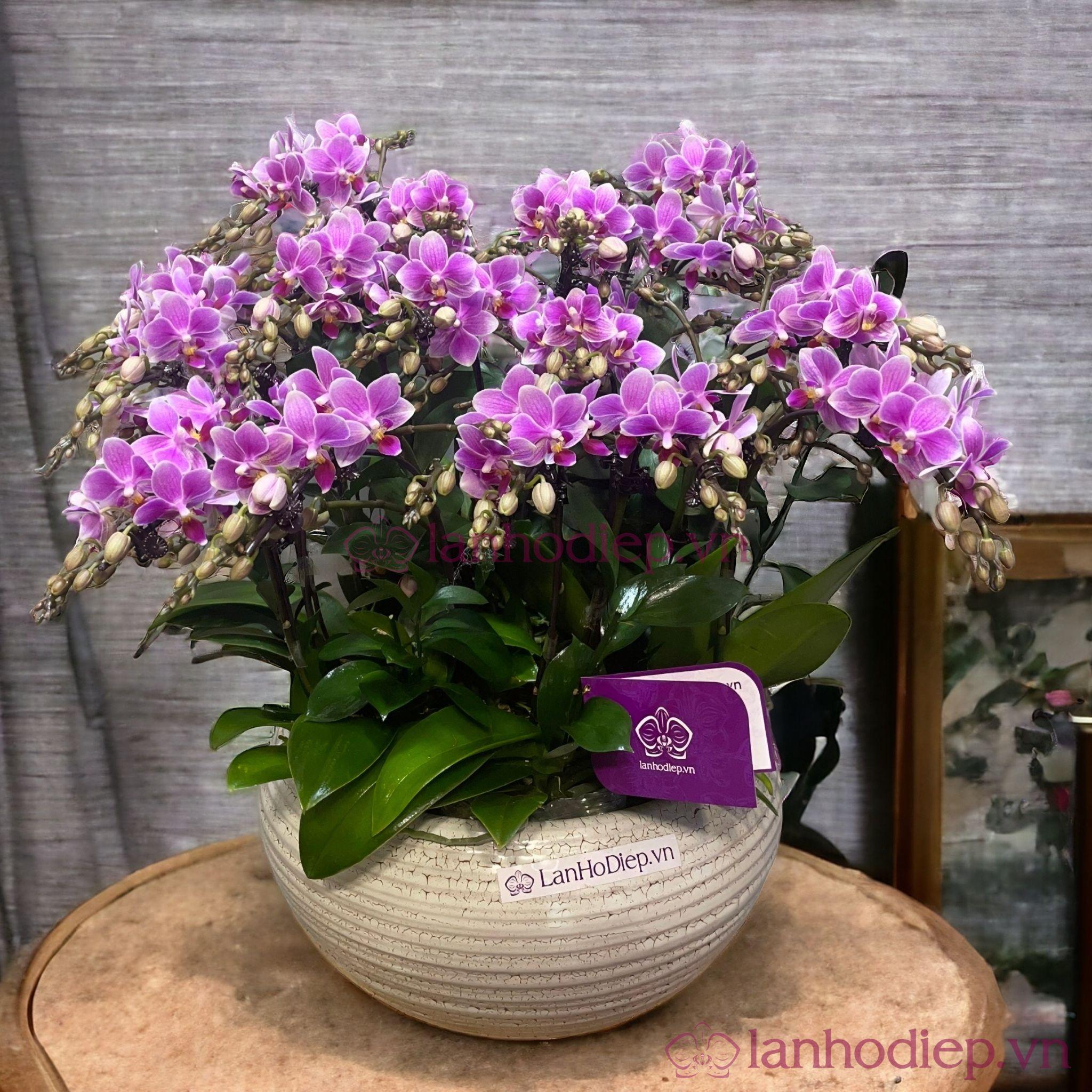 Top quà tặng ý nghĩa cho ngày 20 10 dành tặng những người phụ nữ quan trọng