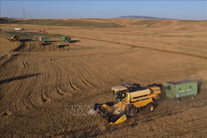 Gia tăng số lượng quốc gia tham gia cách tiếp cận đầu tư sáng tạo của FAO