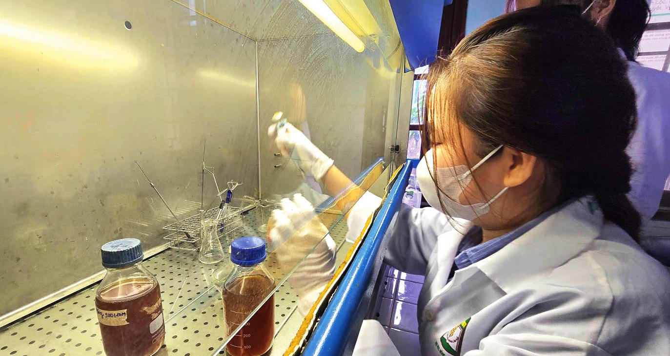 Ươm mầm khởi nghiệp