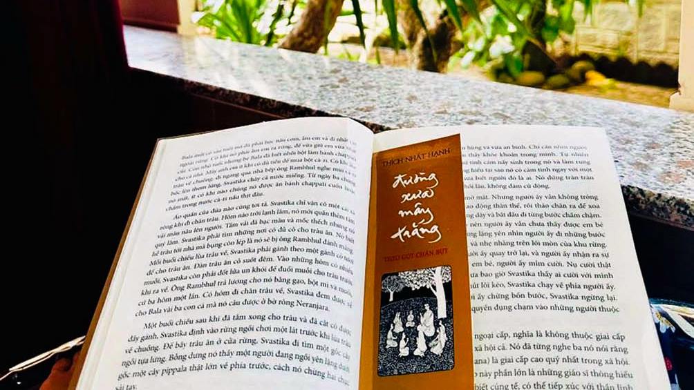 Thư viện ngày mưa