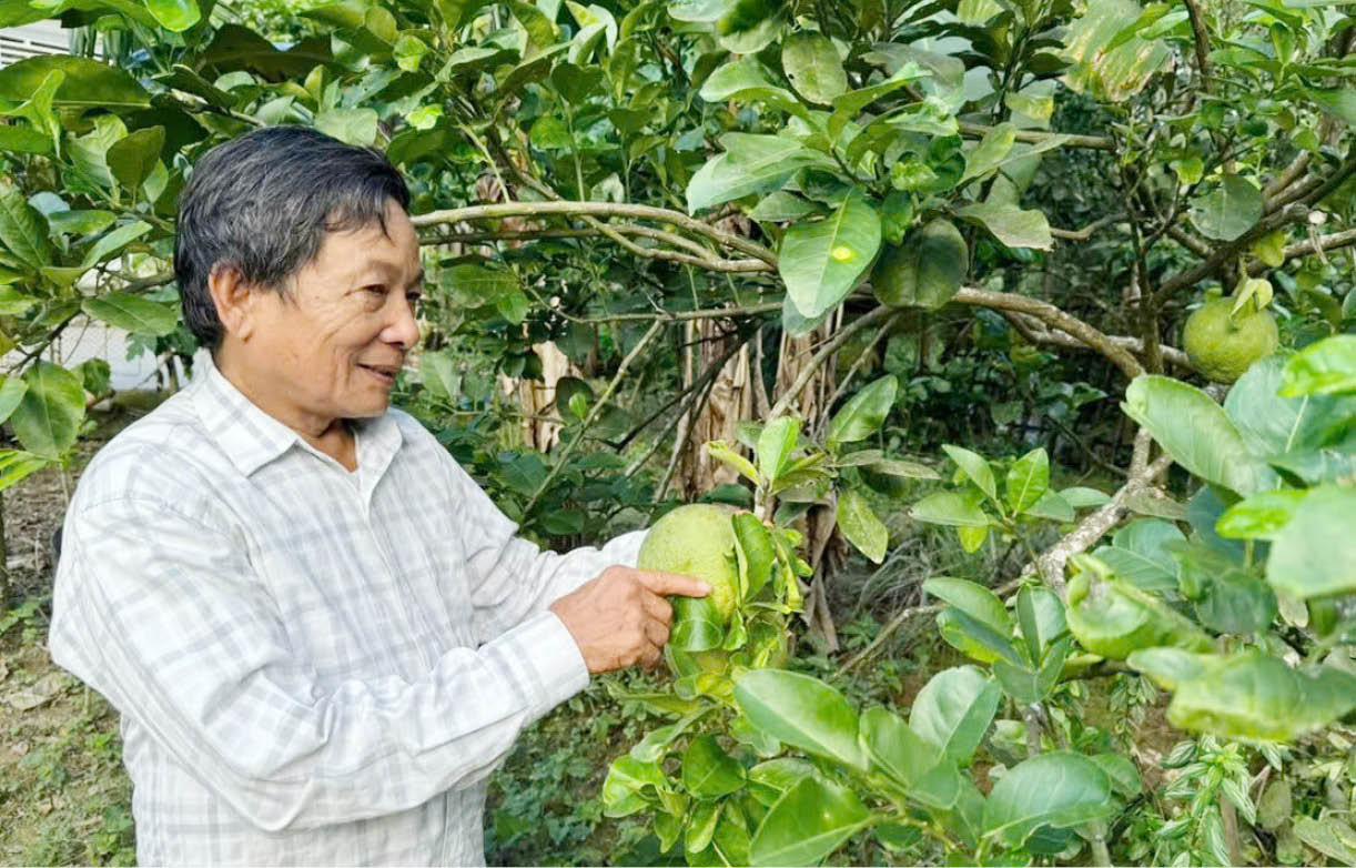 Vì dân nên dân đồng thuận