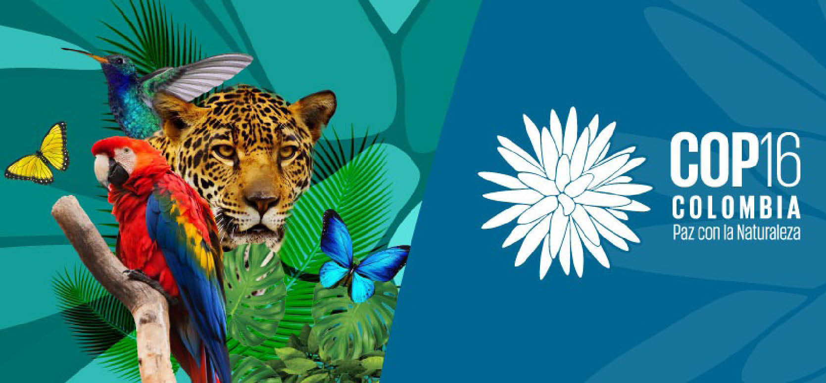 Tổng thư ký Liên hợp quốc kêu gọi “đầu tư đáng kể” để bảo vệ đa dạng sinh học toàn cầu