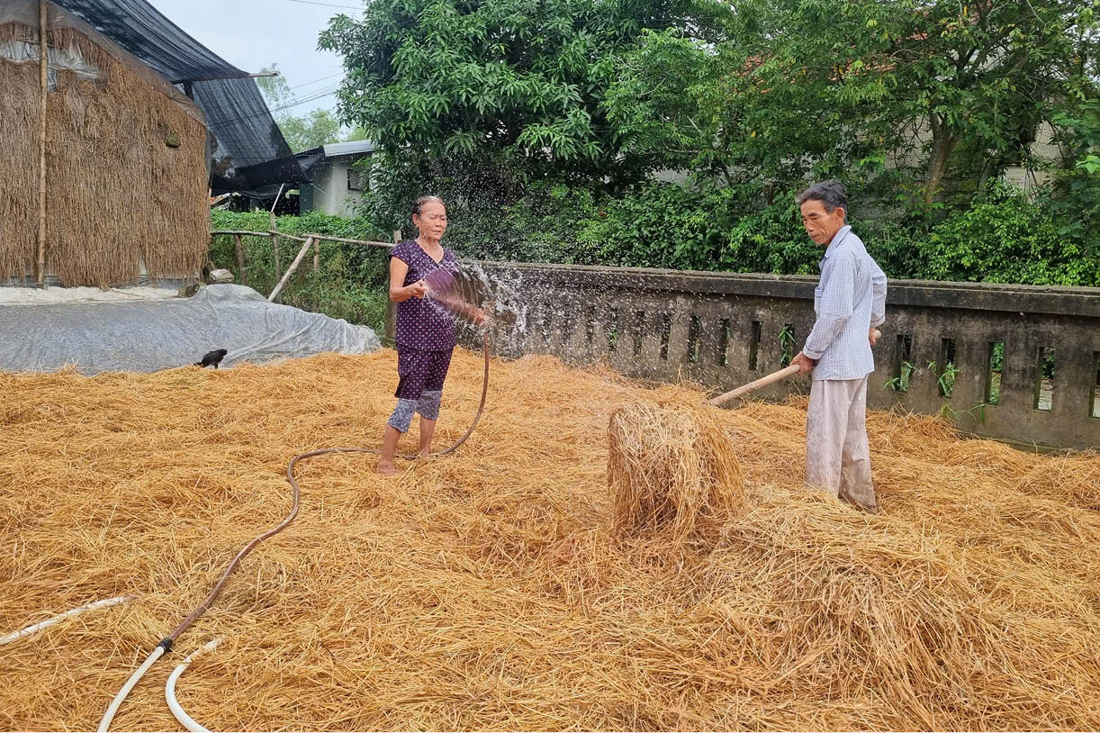 Sức già vượt khó