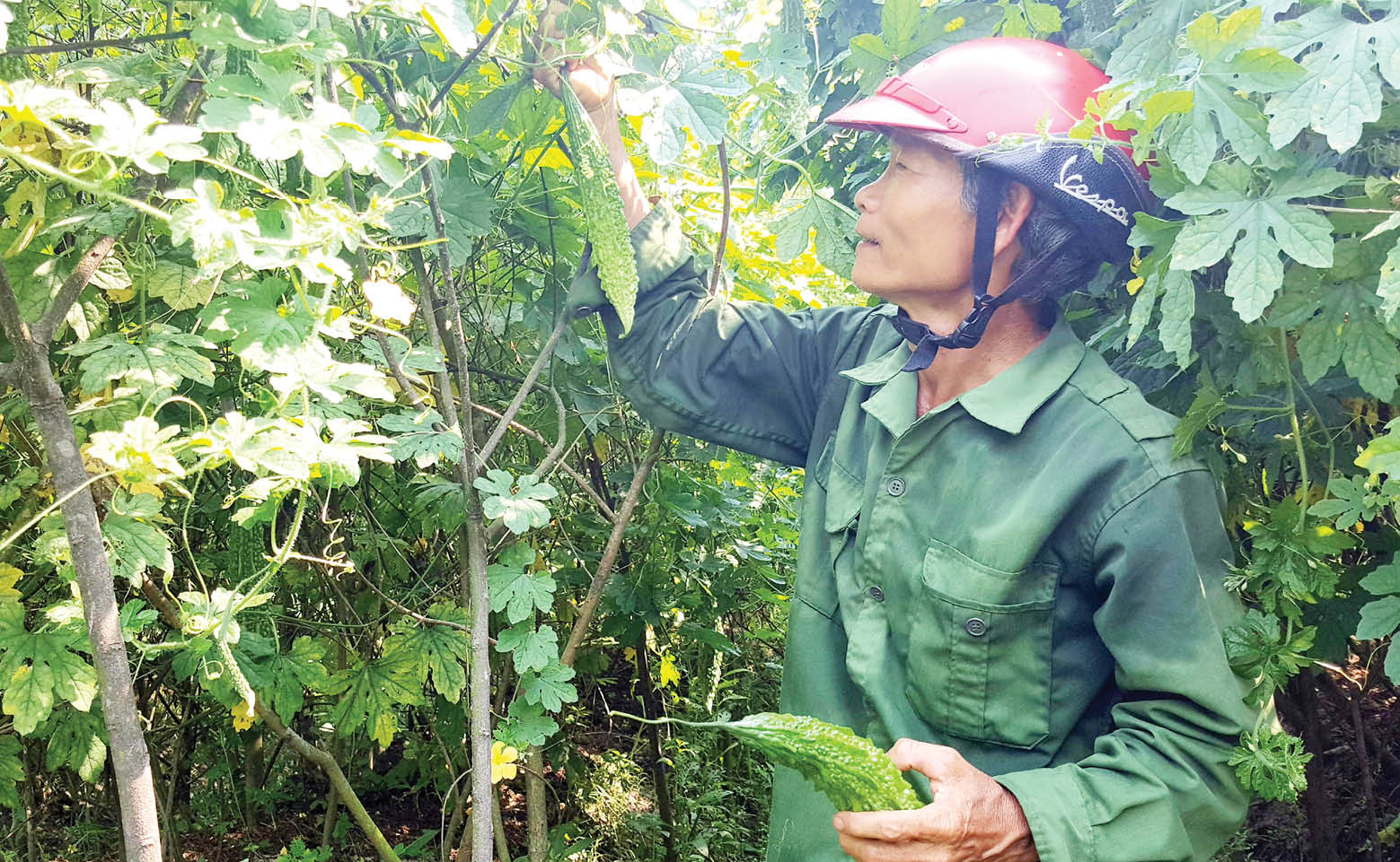 Đòn bẩy tài chính cho đối tượng chính sách