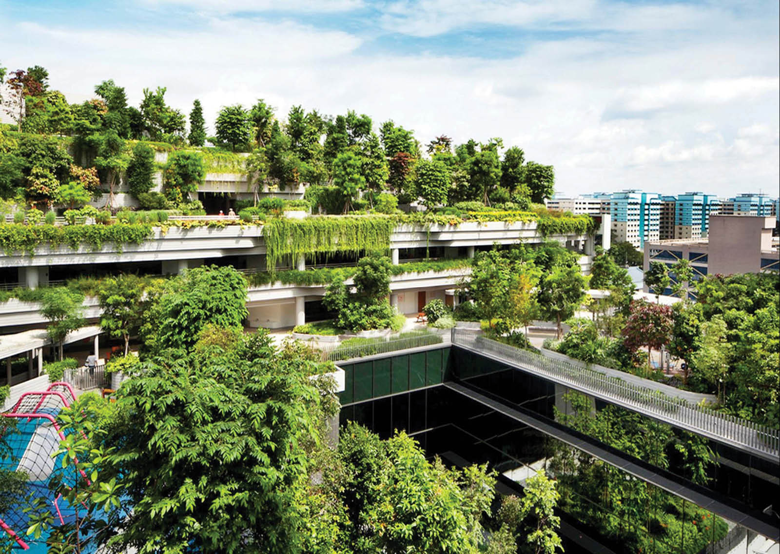 Không gian xanh đô thị có vai trò quan trọng