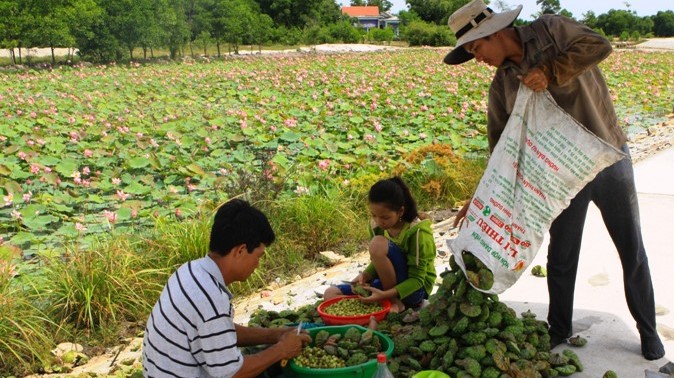 Tập huấn quản lý và phát triển nhãn hiệu tập thể “Sen Huế”